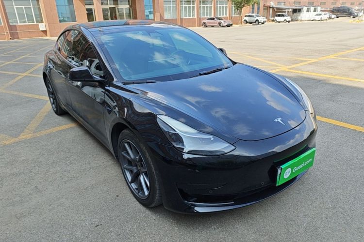 Tesla Model 3 2021 car image #4
