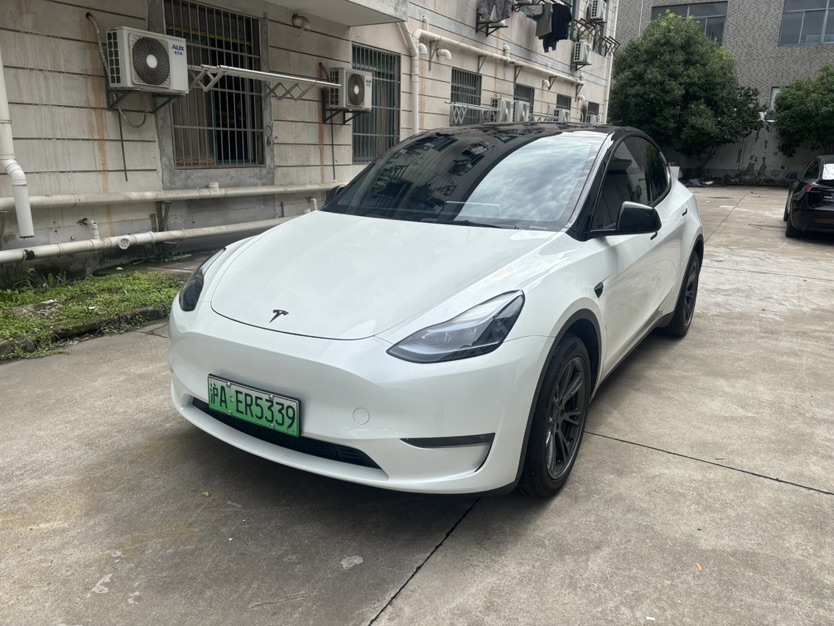 Tesla Model Y 2024 Tesla Model Y 2024 immagine di auto