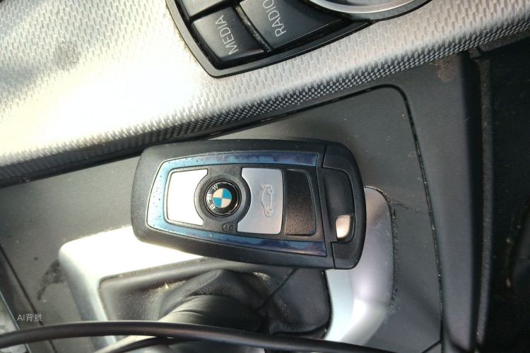 BMW 3 Series 2016 car image #10