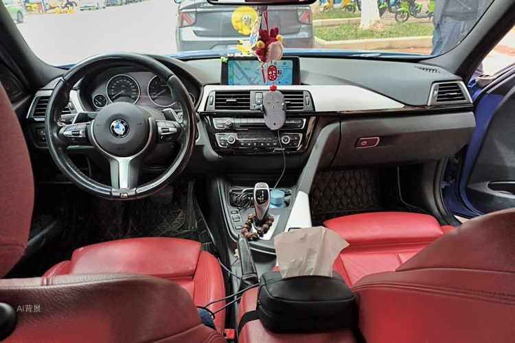 BMW 3 Series 2016 car image #11