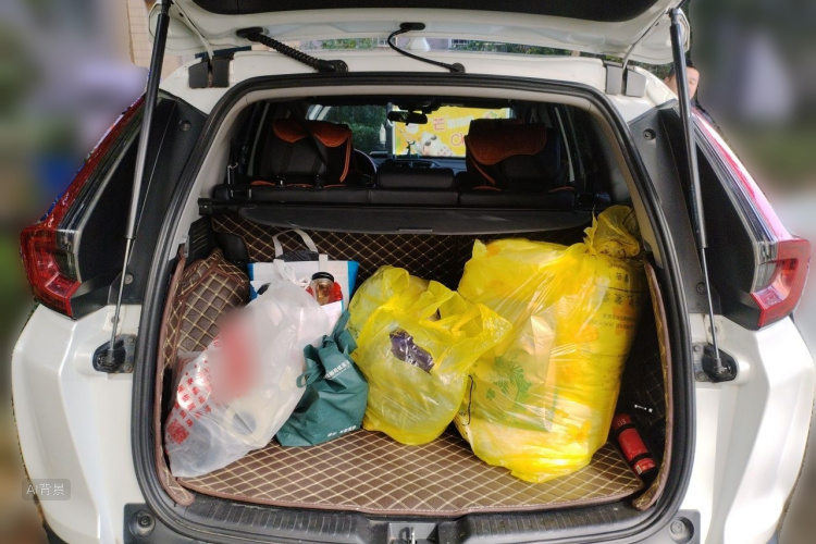 Honda CR-V 2021 immagine di auto #21