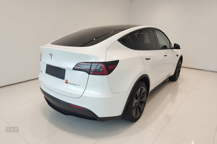 Tesla Model Y 2024 car image #5