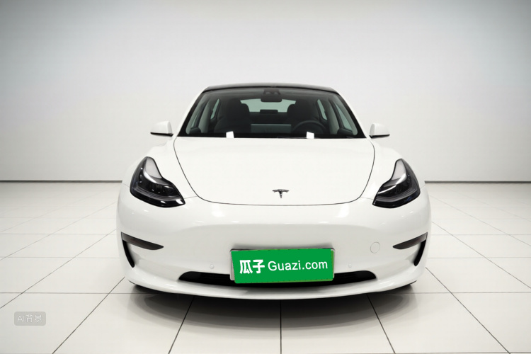 Tesla Model 3 2021 #3 Tesla Model 3 2021 car image #3
