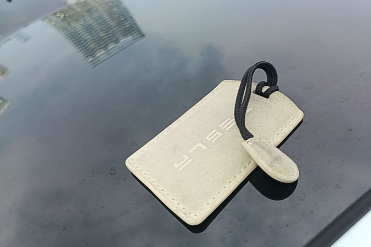 Tesla Model 3 2024 #9 Tesla Model 3 2024 car image #9