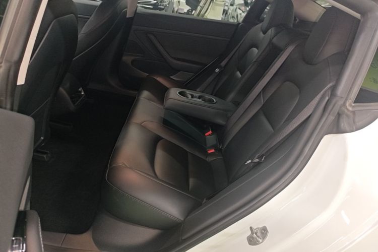 Tesla Model 3 2020 #17 Tesla Model 3 2020 car image #17
