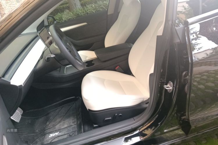 Tesla Model 3 2022 #17 Tesla Model 3 2022 car image #17