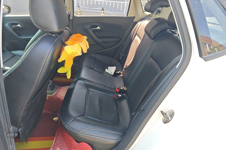 Volkswagen Polo 2016 car image #19