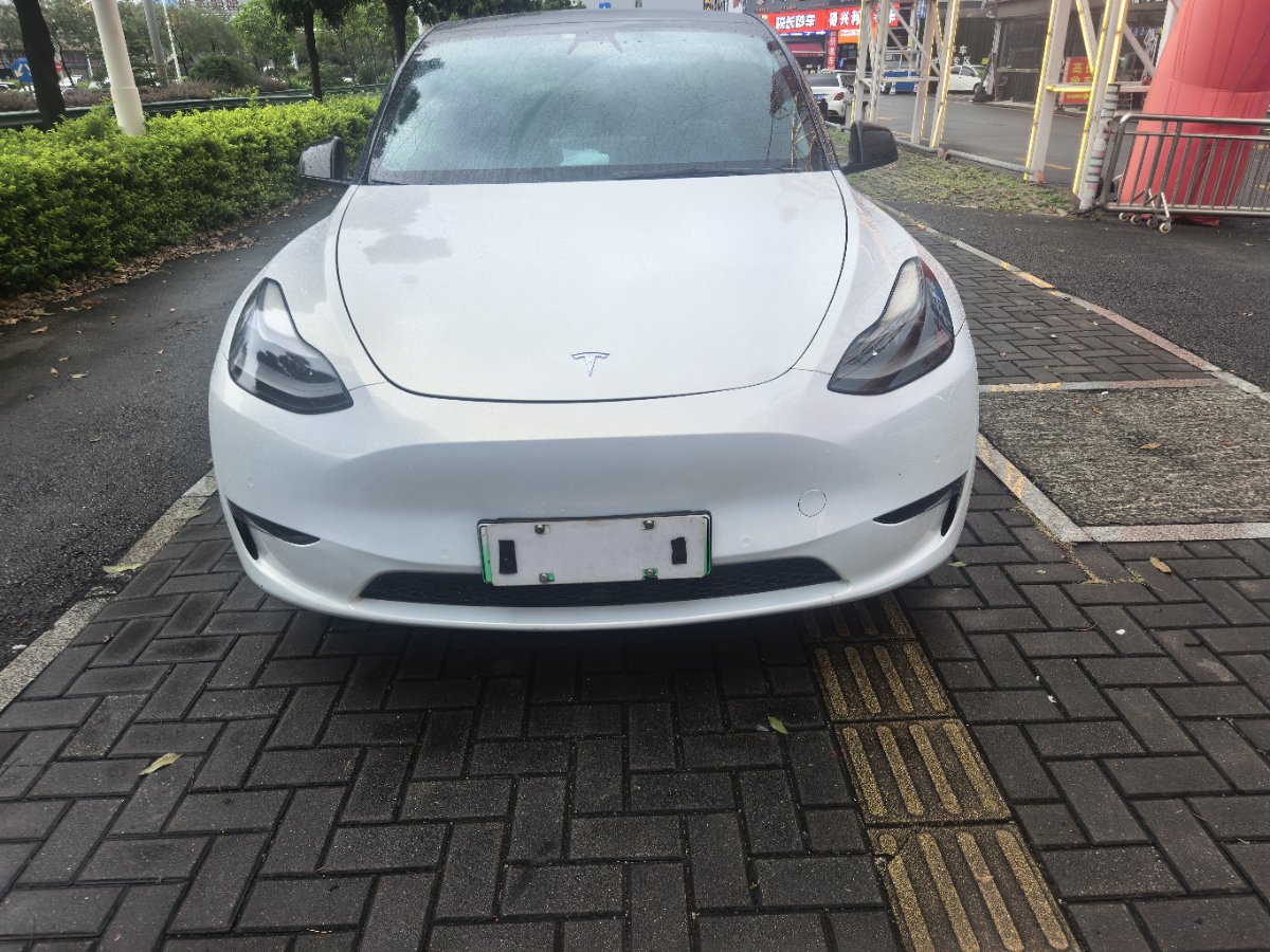 Tesla Model Y 2021 car image #2