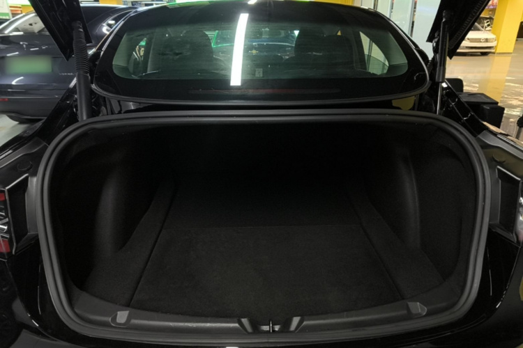 Tesla Model 3 2021 #19 Tesla Model 3 2021 car image #19