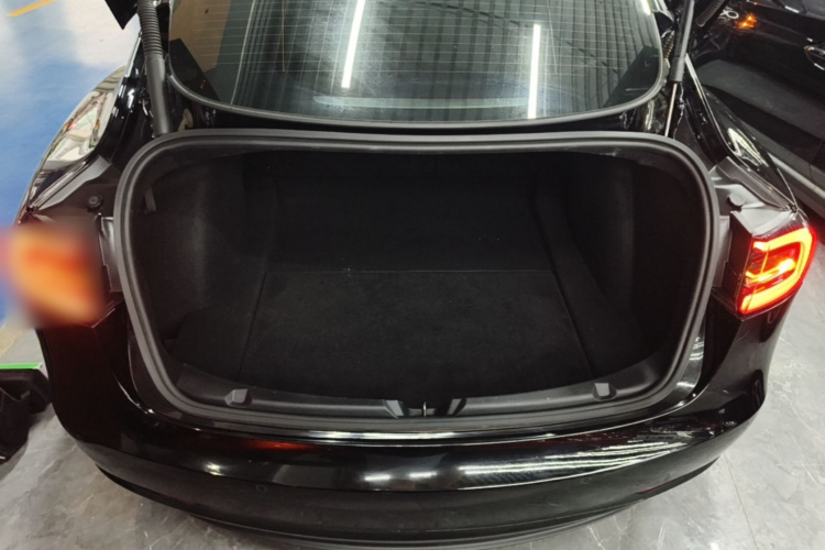 Tesla Model 3 2021 car image #19