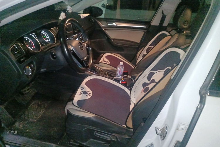 Volkswagen Golf 2017 car image #17
