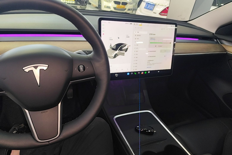 Tesla Model 3 2021 #10 Tesla Model 3 2021 car image #10