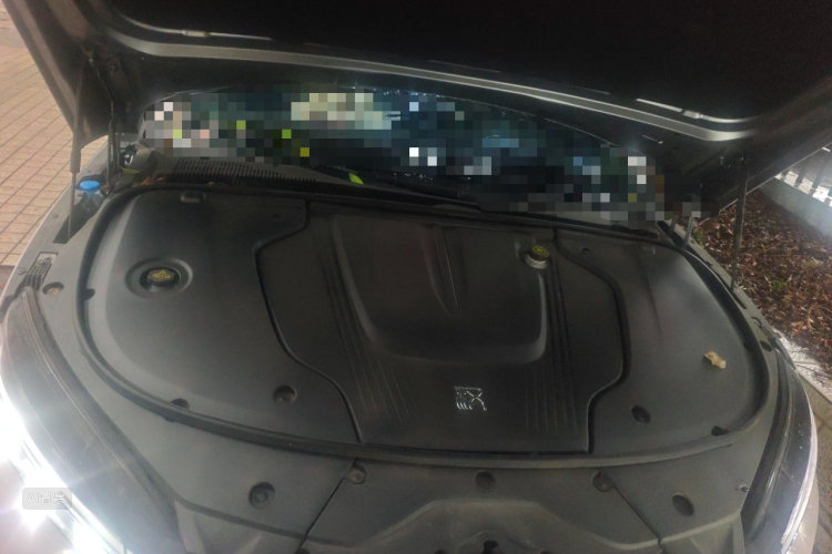 BYD Han 2024 car image #22