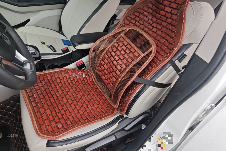 BYD Yuan Pro 2021 immagine di auto #17