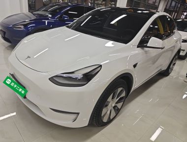 Tesla Model Y 2021 Tesla Model Y 2021 car image