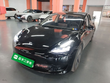 Tesla Model 3 2022 Tesla Model 3 2022 car image