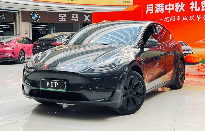 Tesla Model Y 2024 car image 