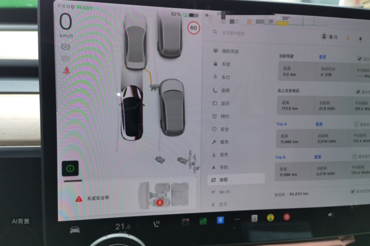 Tesla Model 3 2021 car image #13