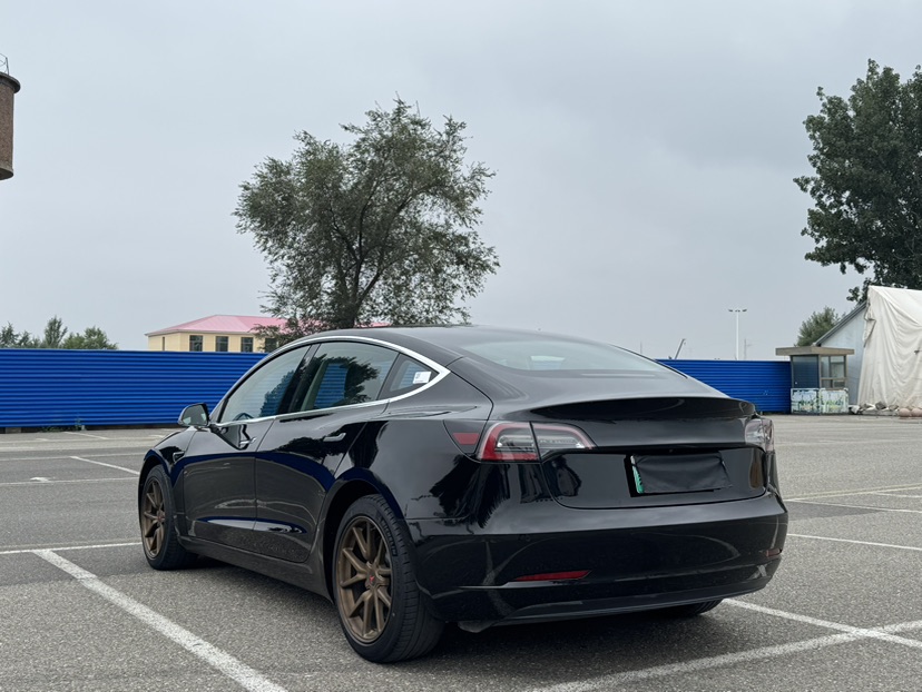 Tesla Model 3 2020 #7 Tesla Model 3 2020 car image #7