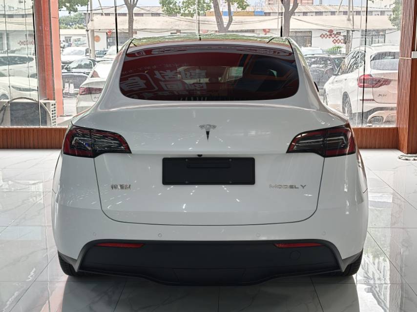 Tesla Model Y 2023 #8 Tesla Model Y 2023 car image #8