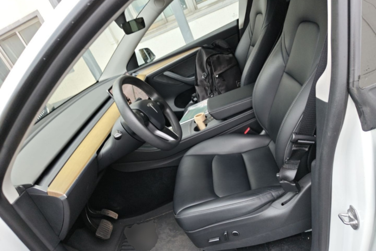 Tesla Model Y 2021 car image #15