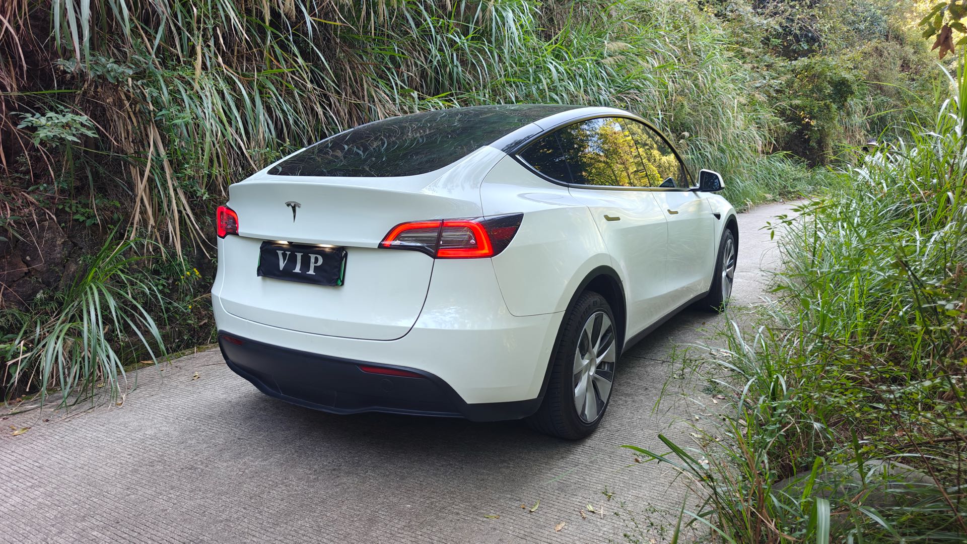 Tesla Model Y 2021 #3 Tesla Model Y 2021 imagen de coche #3