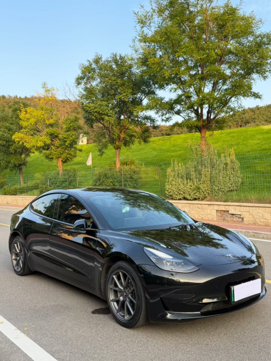 Tesla Model 3 2022 car image 