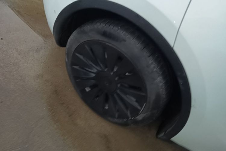 Tesla Model Y 2023 car image #10