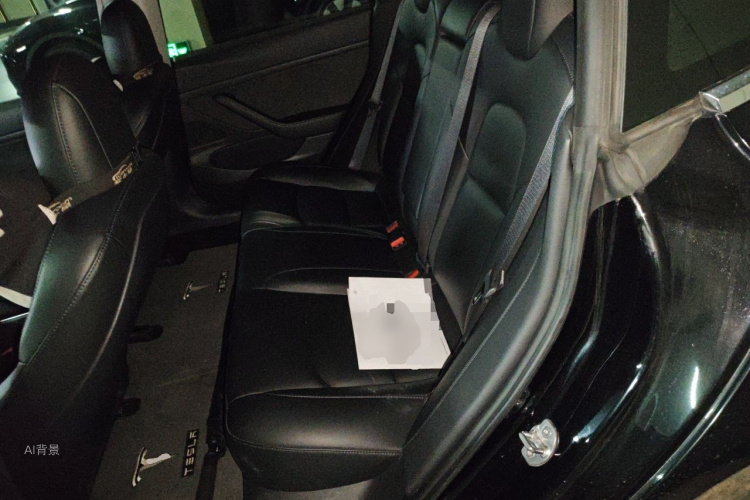 Tesla Model 3 2020 #19 Tesla Model 3 2020 car image #19