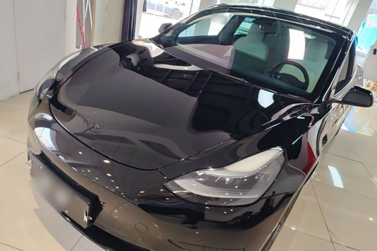 Tesla Model 3 2023 #2 Tesla Model 3 2023 car image #2