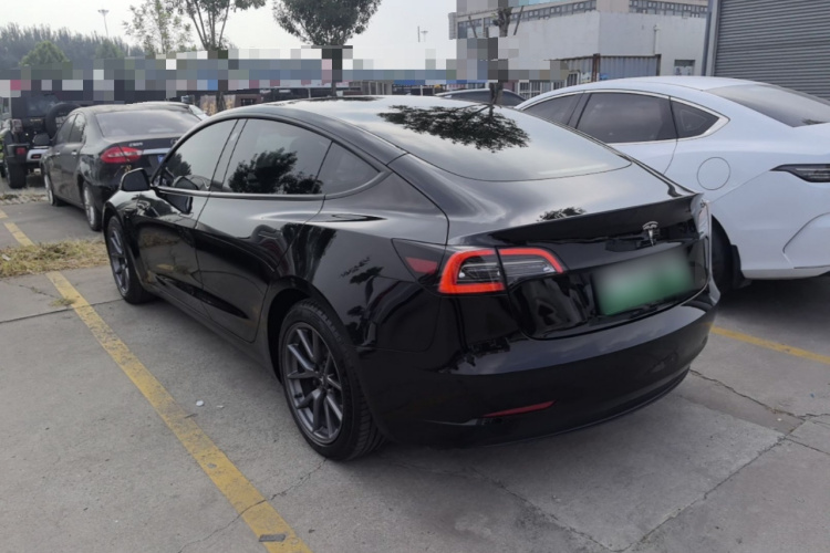 Tesla Model 3 2021 #5 Tesla Model 3 2021 car image #5