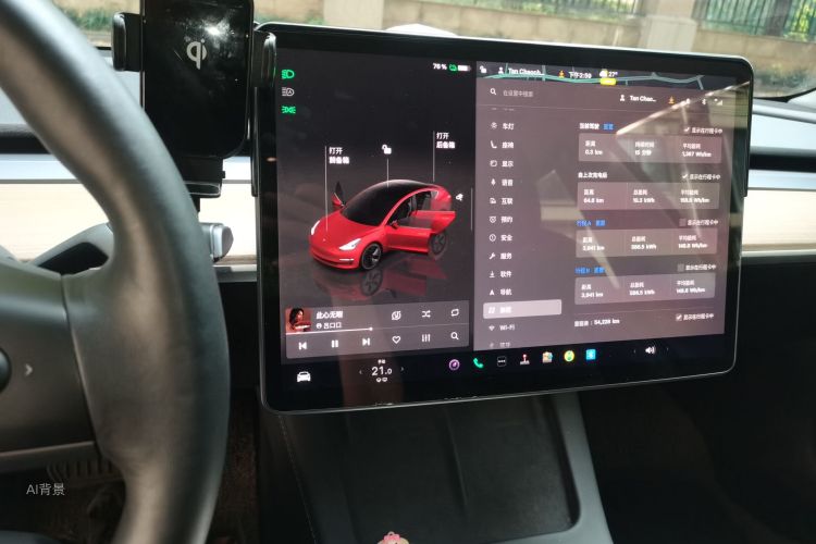 Tesla Model 3 2022 car image #13