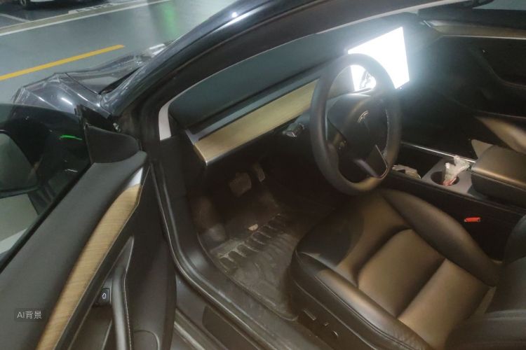 Tesla Model 3 2021 car image #18