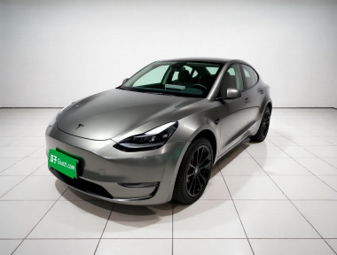 Tesla Model Y 2024 car image 