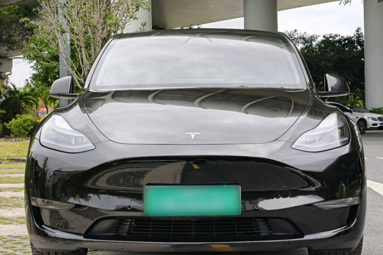 Tesla Model Y 2023 #4 Tesla Model Y 2023 car image #4