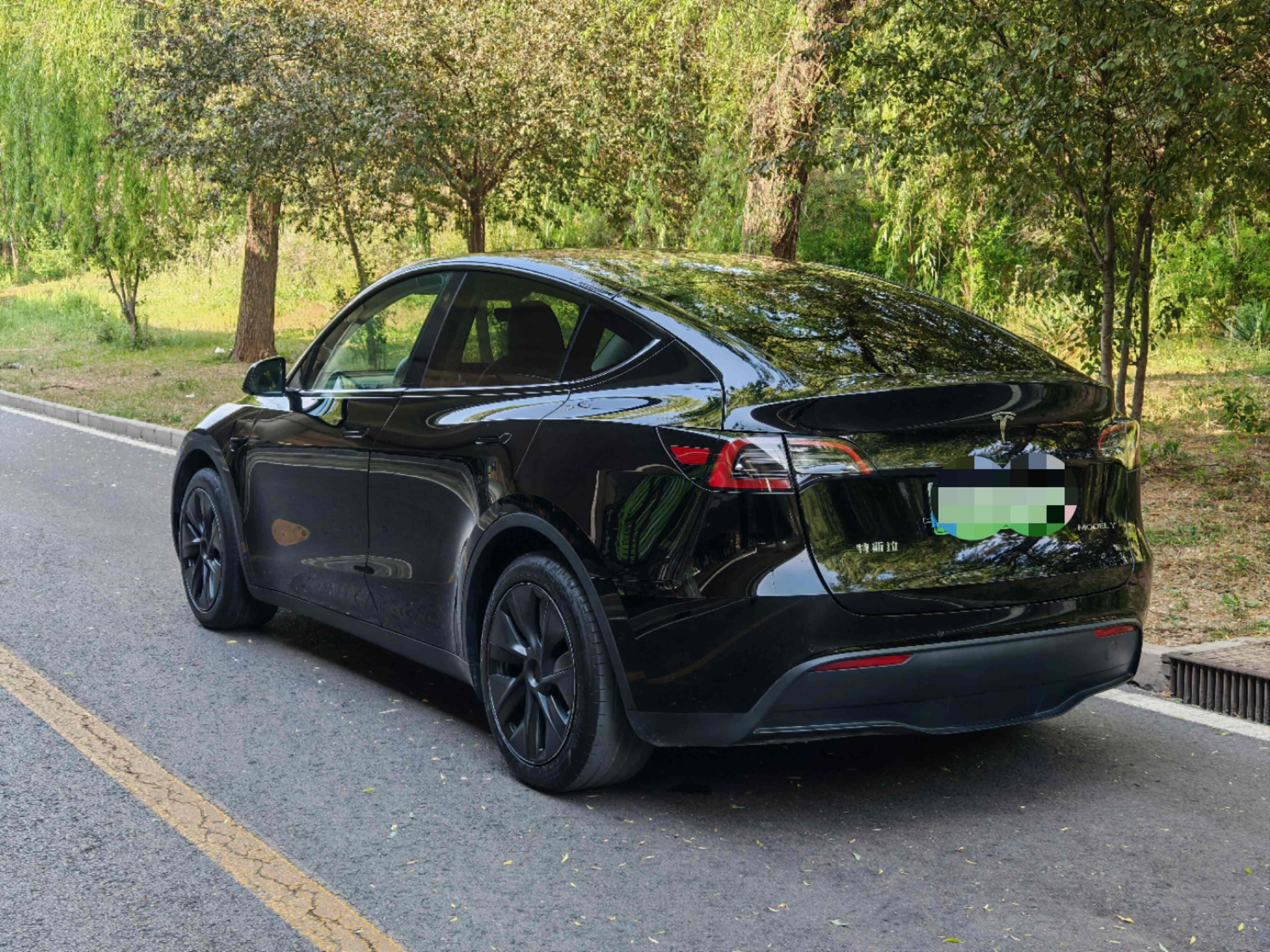 Tesla Model Y 2023 #10 Tesla Model Y 2023 car image #10