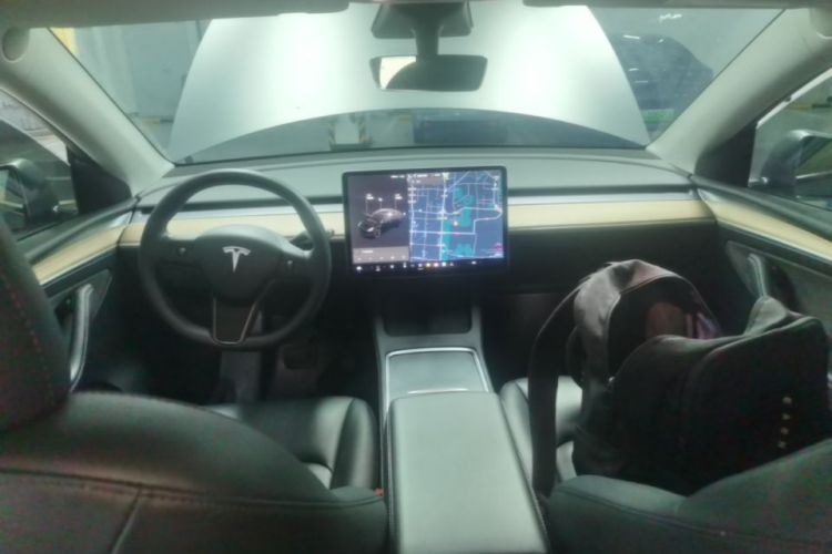 Tesla Model Y 2021 car image #10