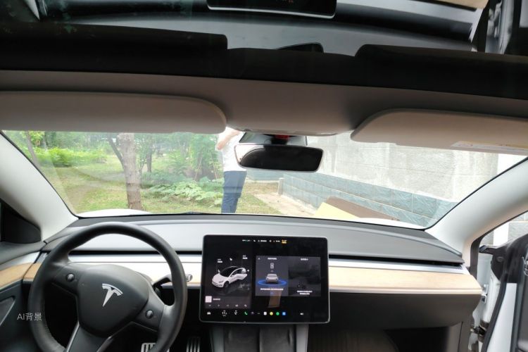 Tesla Model 3 2021 #20 Tesla Model 3 2021 car image #20