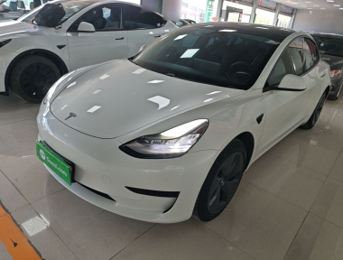 Tesla Model 3 2020 Tesla Model 3 2020 car image