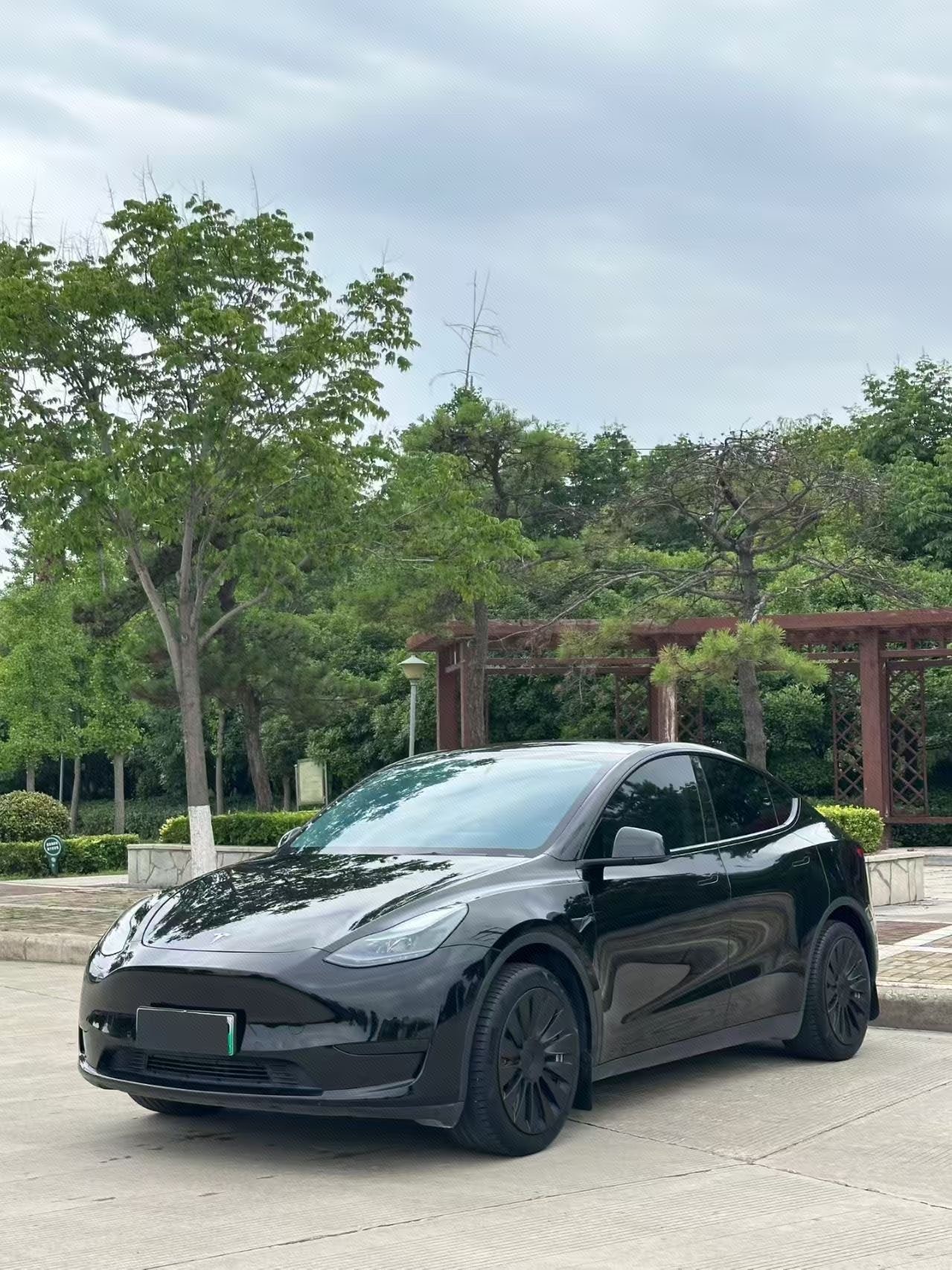 Tesla Model Y 2023 car image 