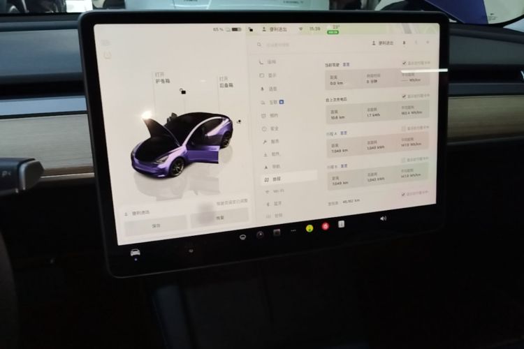 Tesla Model 3 2022 imagem de carro #13