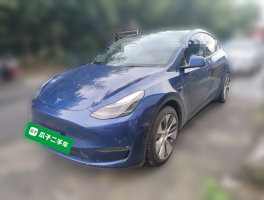 Tesla Model Y 2021 Tesla Model Y 2021 car image