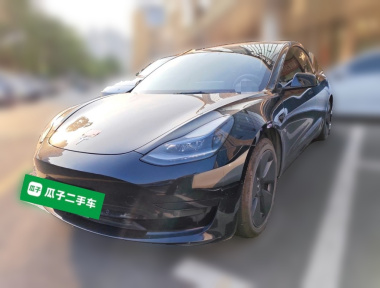 Tesla Model 3 2021 Tesla Model 3 2021 car image