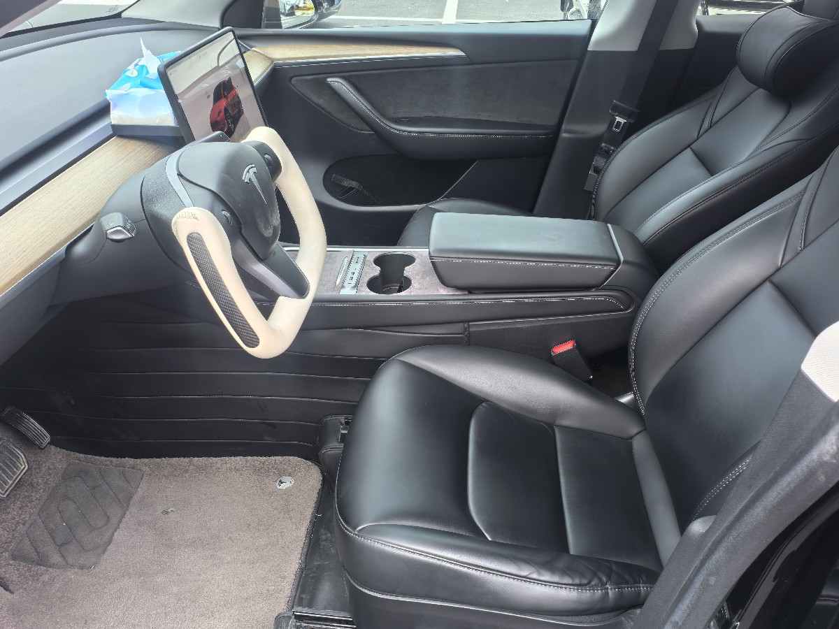 Tesla Model Y 2022 car image #6