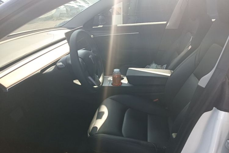 Tesla Model 3 2021 car image #15