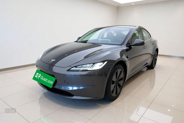 Tesla Model 3 2024 #2 Tesla Model 3 2024 car image #2