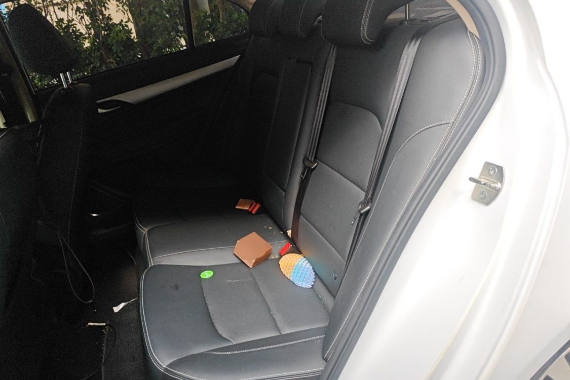 GEELY Emgrand 2018 car image #21