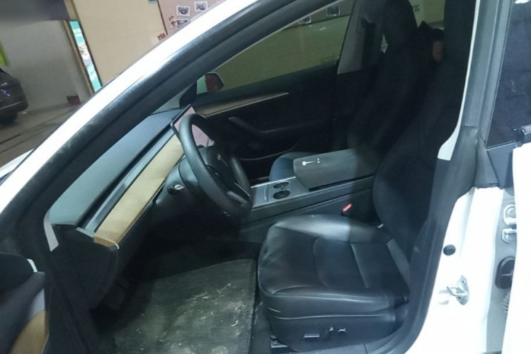 Tesla Model 3 2021 car image #15