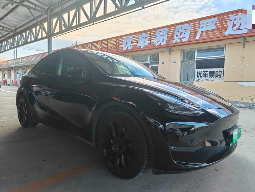 Tesla Model Y 2021 #3 Tesla Model Y 2021 car image #3