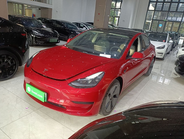 Tesla Model 3 2021 immagine di auto 